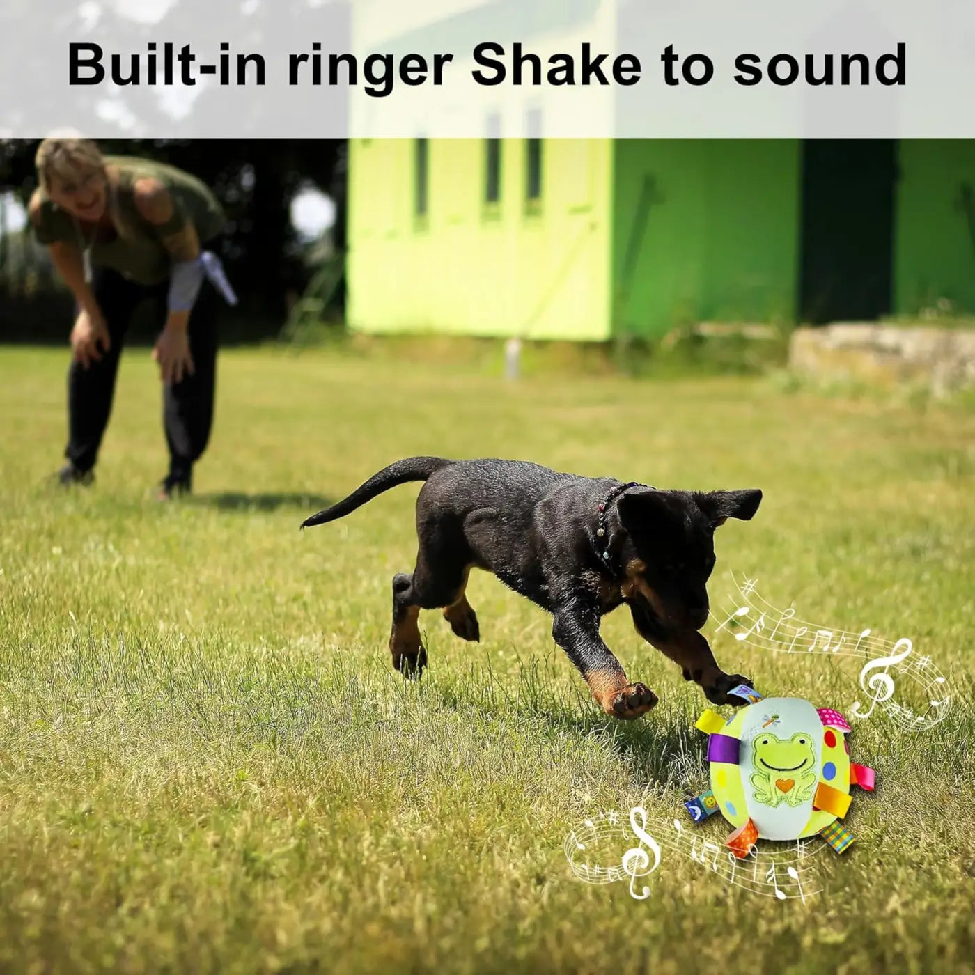 The Ball Depot dog ball: Built-in Chimes And Squeaky Balls For Dogs