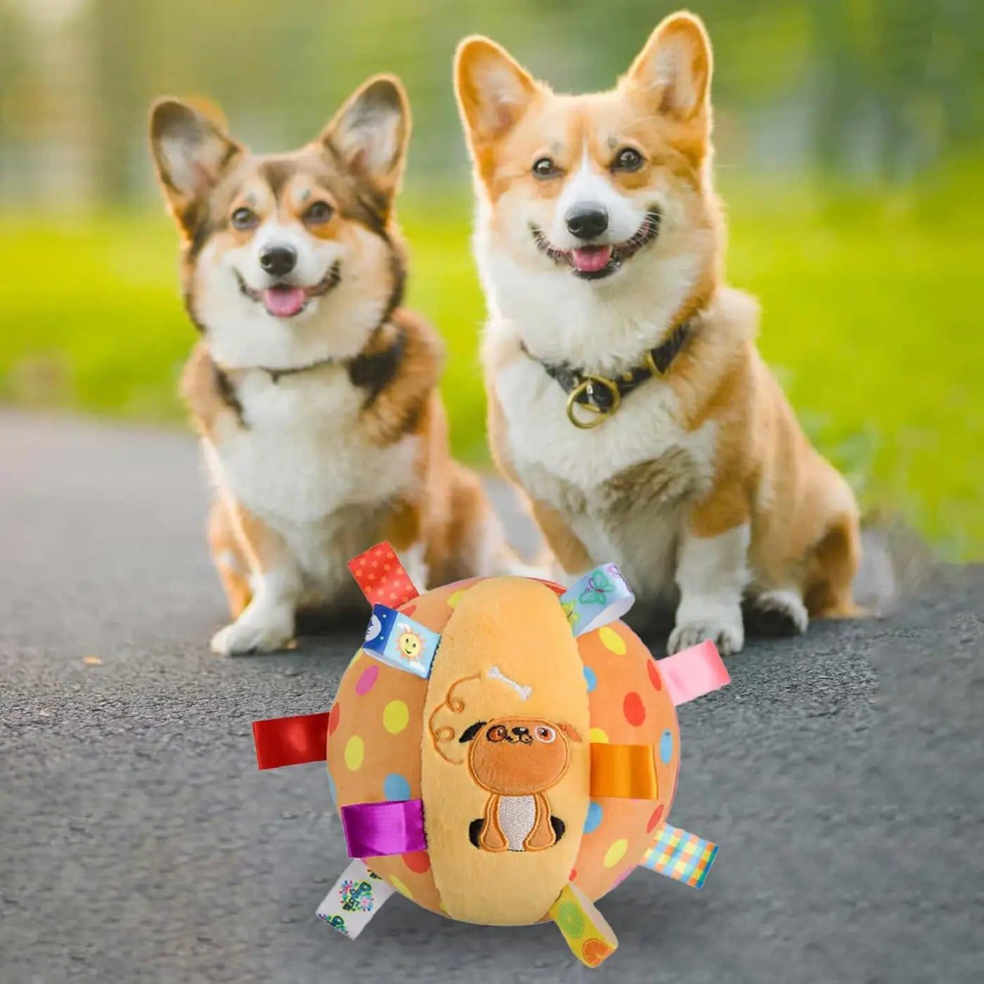 The Ball Depot dog ball: Built-in Chimes And Squeaky Balls For Dogs