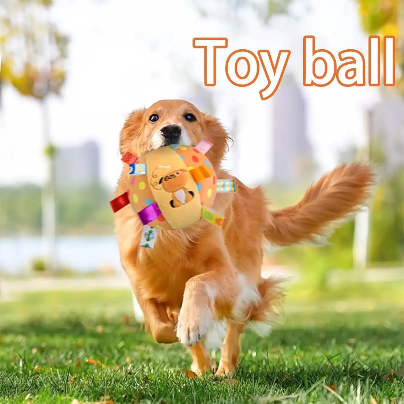 The Ball Depot dog ball: Built-in Chimes And Squeaky Balls For Dogs