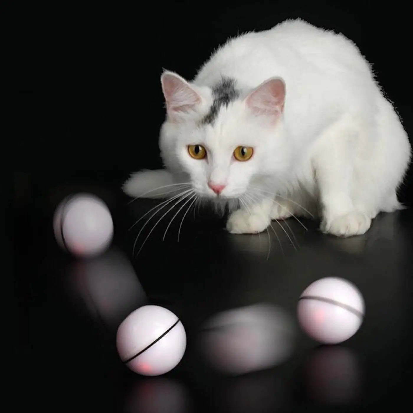 The Ball Depot Cat Balls: Cat Smart Jumping Ball