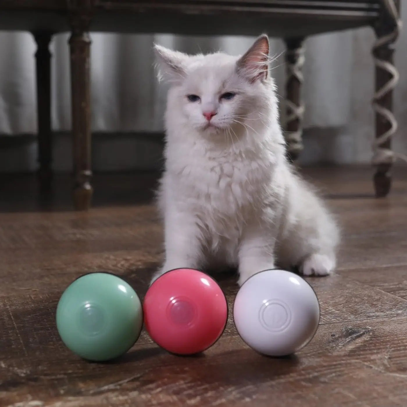 The Ball Depot Cat Balls: Cat Smart Jumping Ball