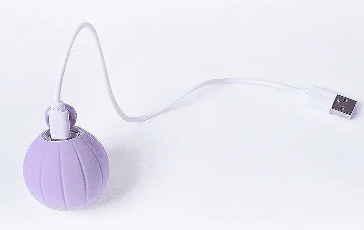Orange Cat Bounce Ball sphère en silicone lavande avec câble USB blanc
