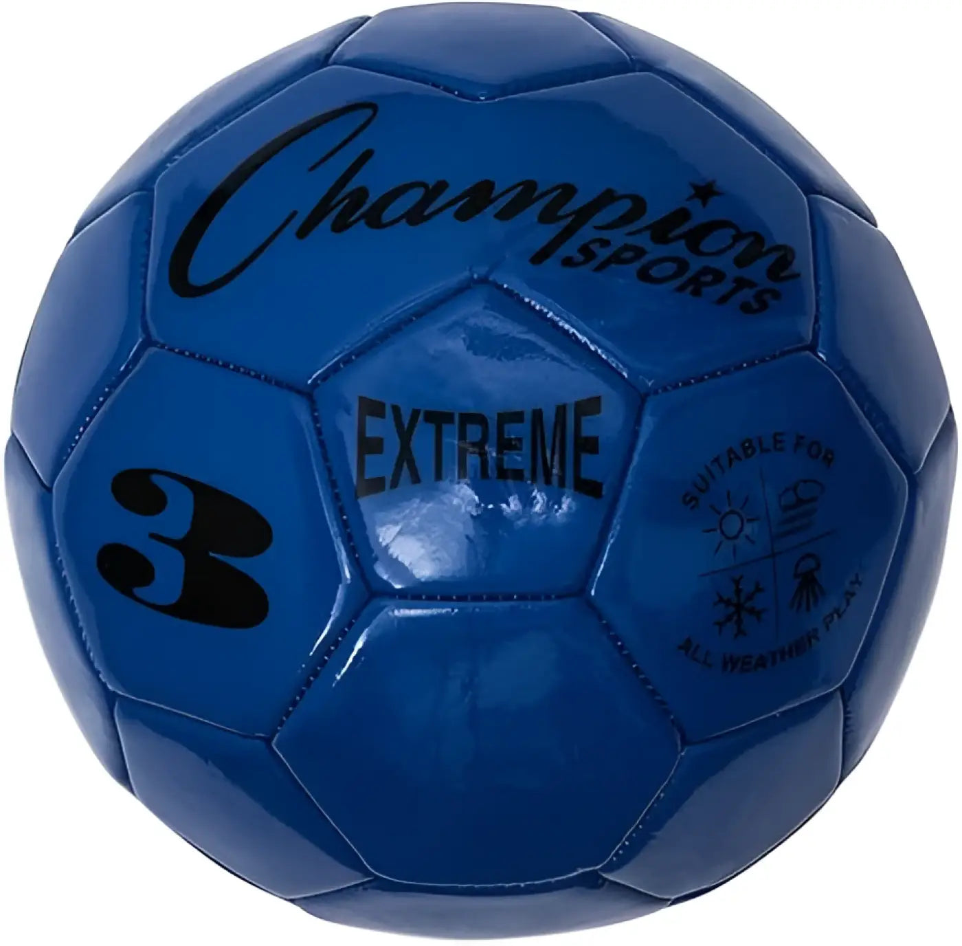 The Ball Depot soccer ball: Champion Sports Extreme Series Soccer Ball