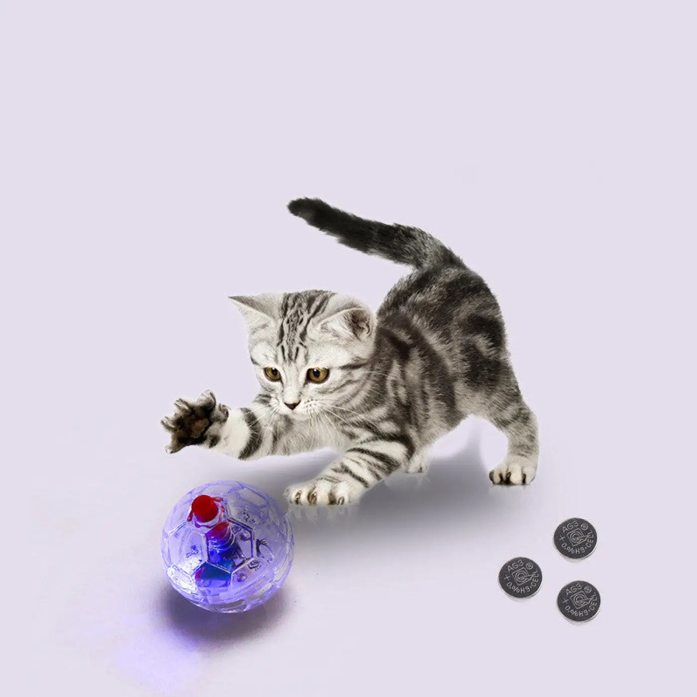 The Ball Depot cat toys: Clear Illuminating Cat Ball