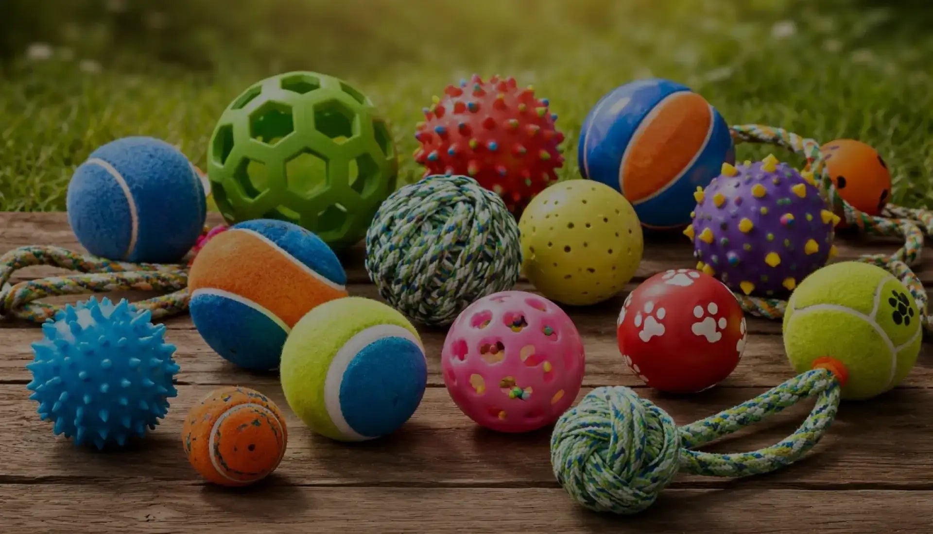 A collection of colorful, textured dog toys in various shapes and materials.