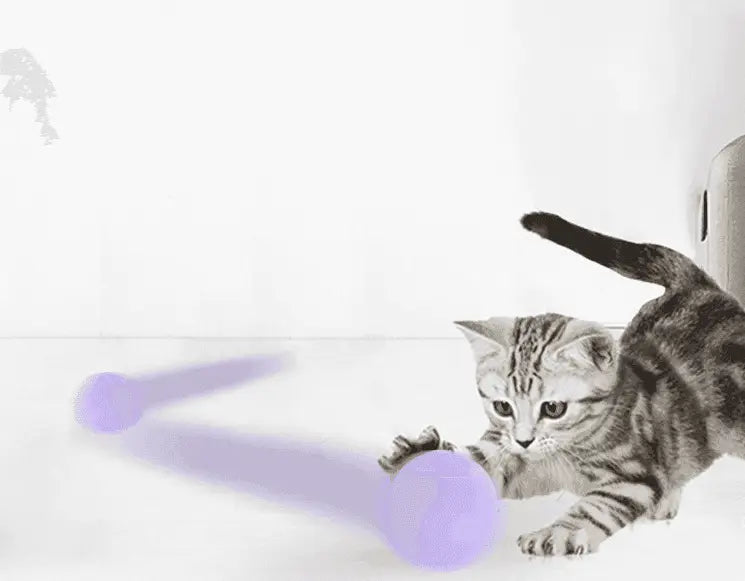 Jouet pour chat sphérique violet dans le produit Orange Cat Bounce Ball