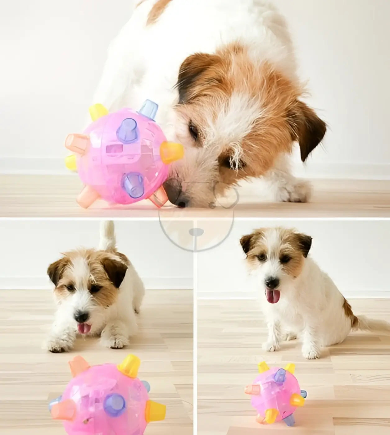 The Ball Depot dancing ball: Dancing Glowing Dog Ball