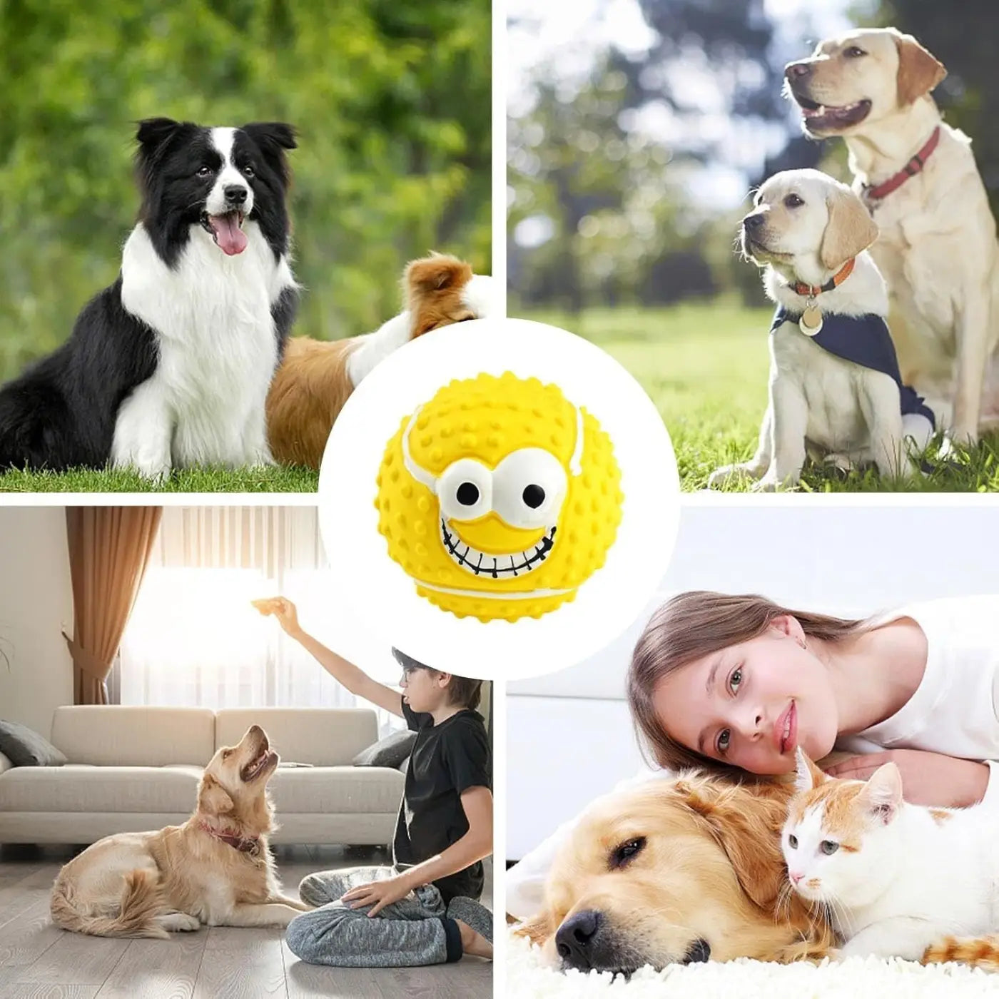 The Ball Depot Pet Toys: Dog Latex Balls