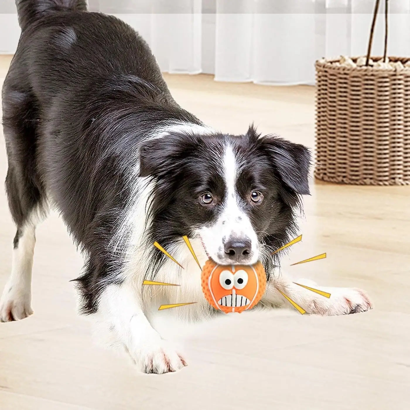 The Ball Depot Pet Toys: Dog Latex Balls