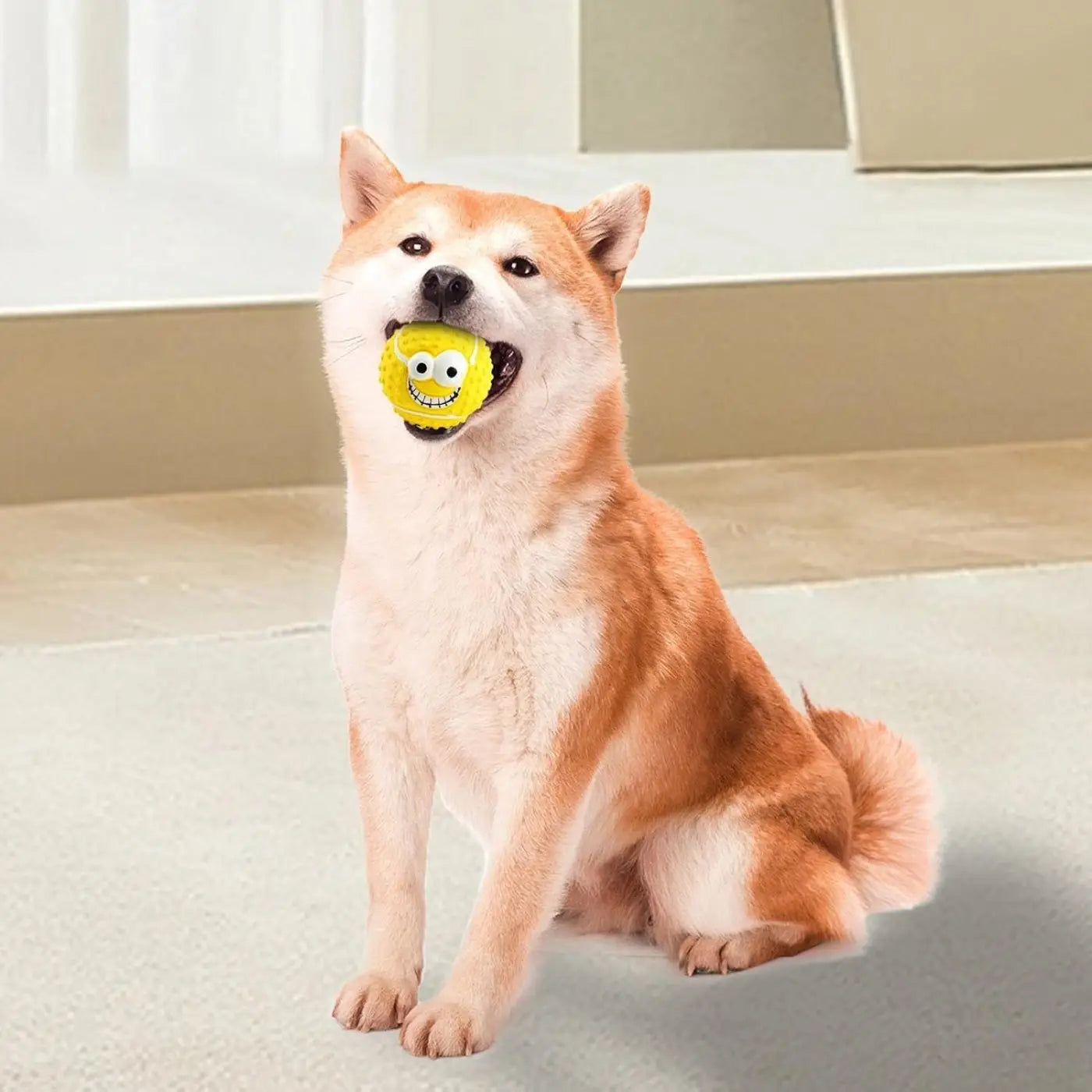 The Ball Depot Pet Toys: Dog Latex Balls