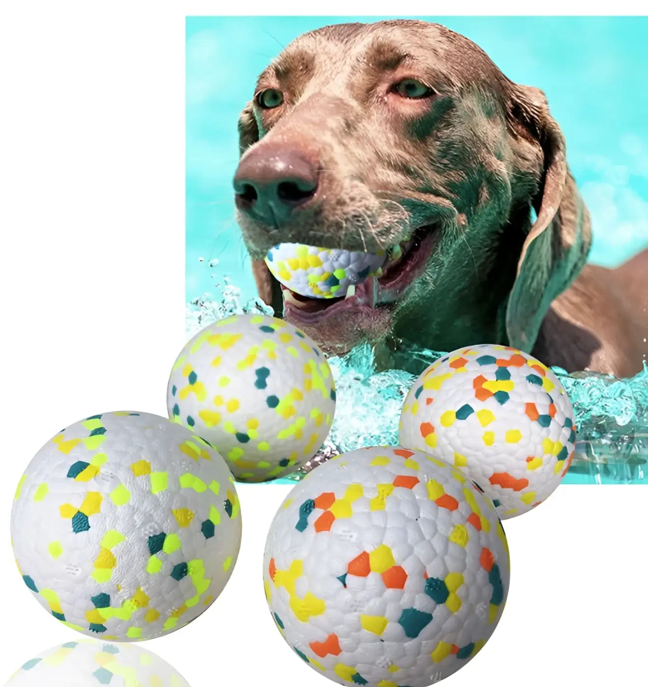 The Ball Depot dog ball: Dog Molar Ball