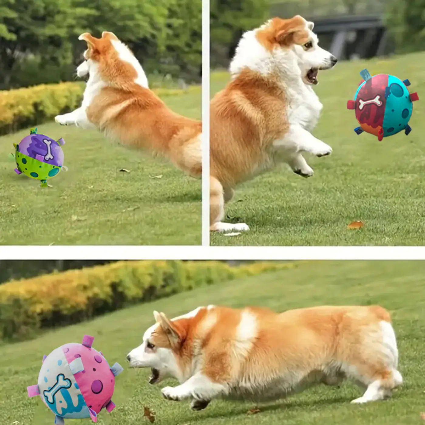 The Ball Depot dog ball: Dog Soccer Ball With Straps