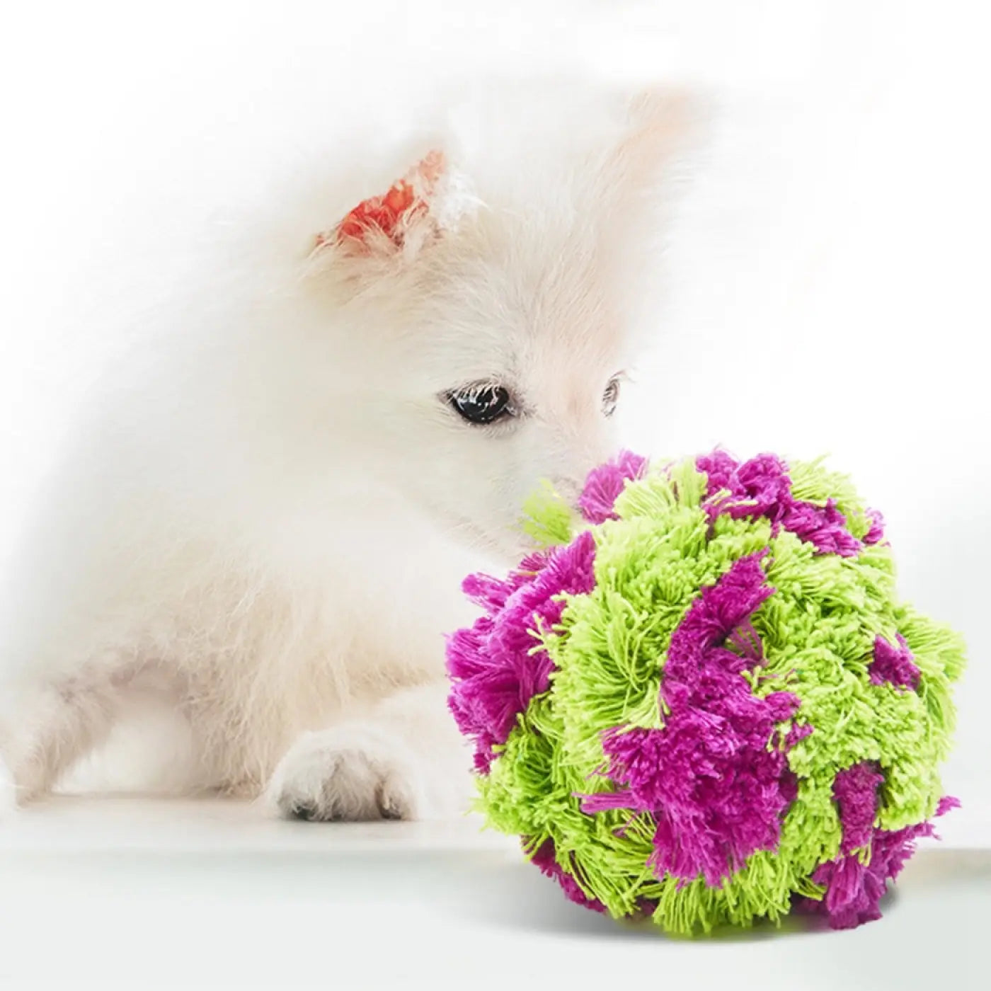 The Ball Depot dog balls: Dog Teething Seaweed Plush Balls