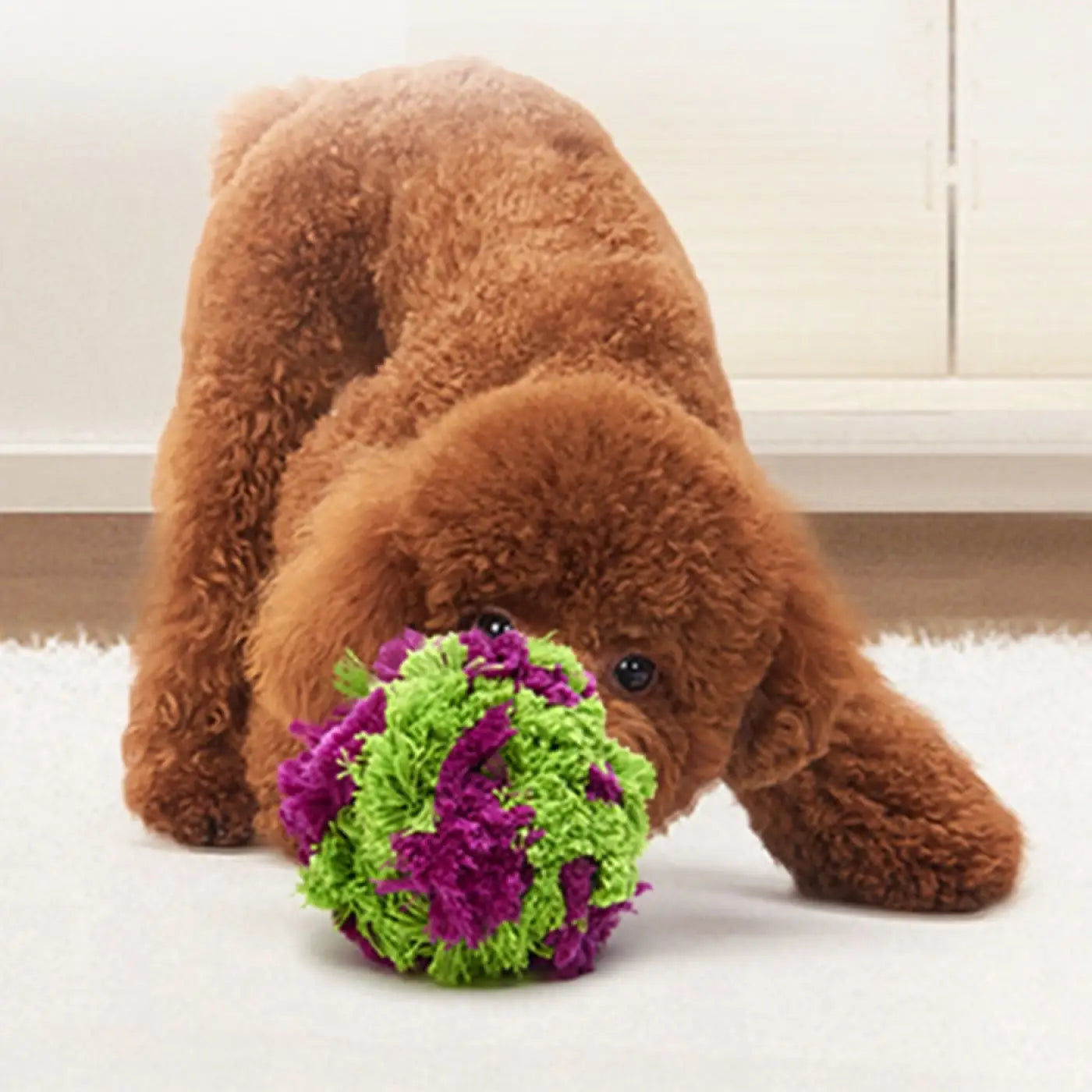 The Ball Depot dog balls: Dog Teething Seaweed Plush Balls