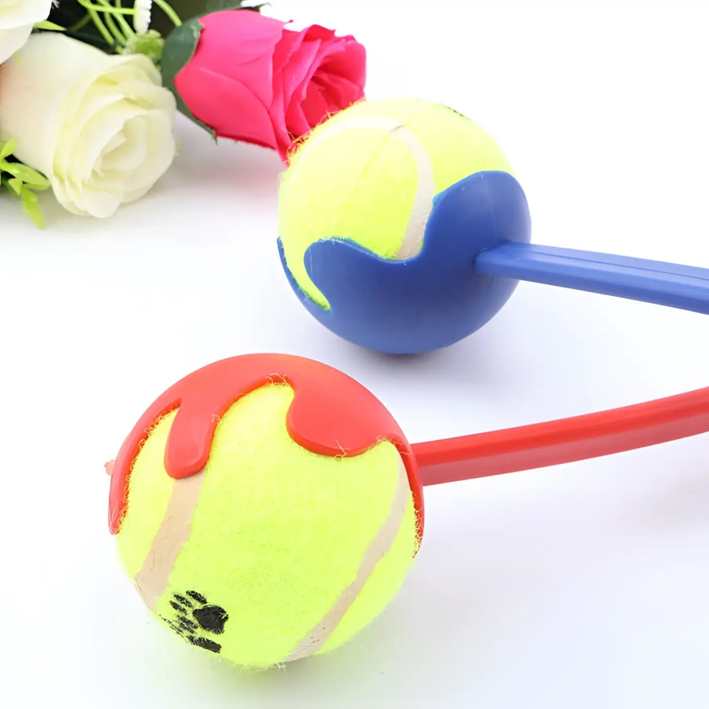 The Ball Depot dog ball: Dog throwing ball