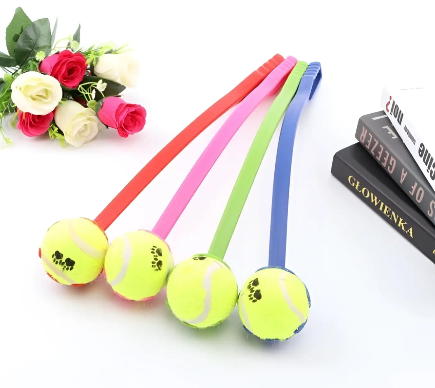 The Ball Depot dog ball: Dog throwing ball