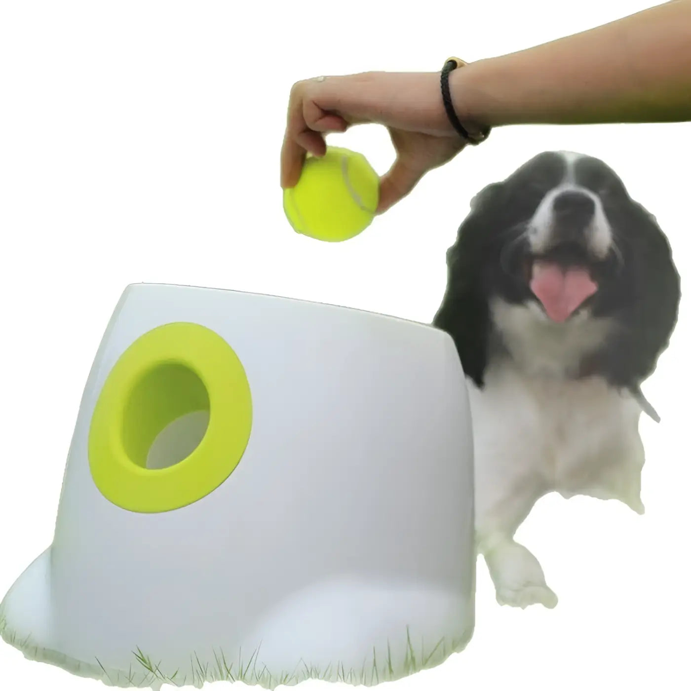 The Ball Depot dog ball: Dog Toy Tennis Ball Pet Ball-Throwing Automatic Launcher