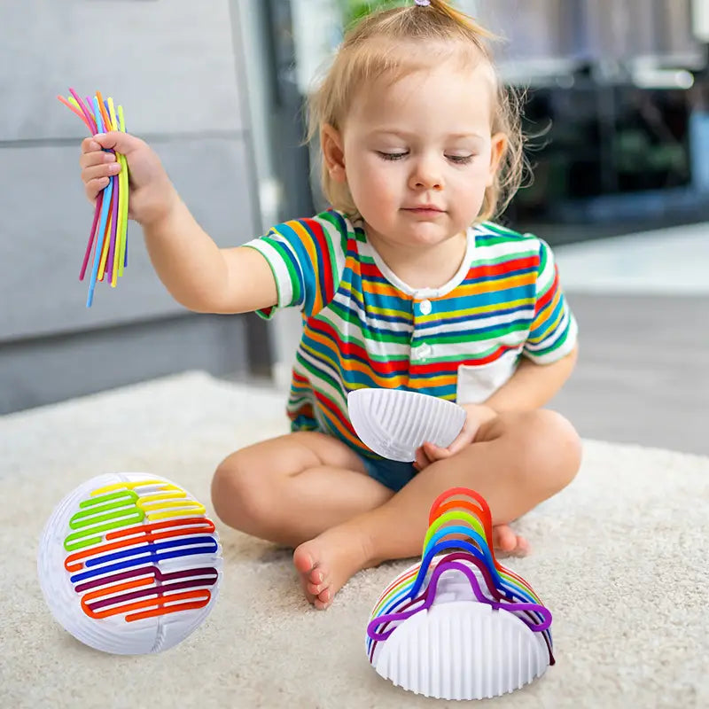 Sensory Ball Puzzle