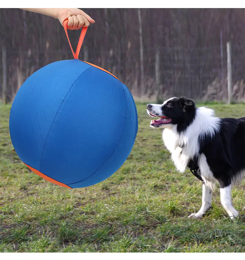 Self-Hi Pet Training Ball color options