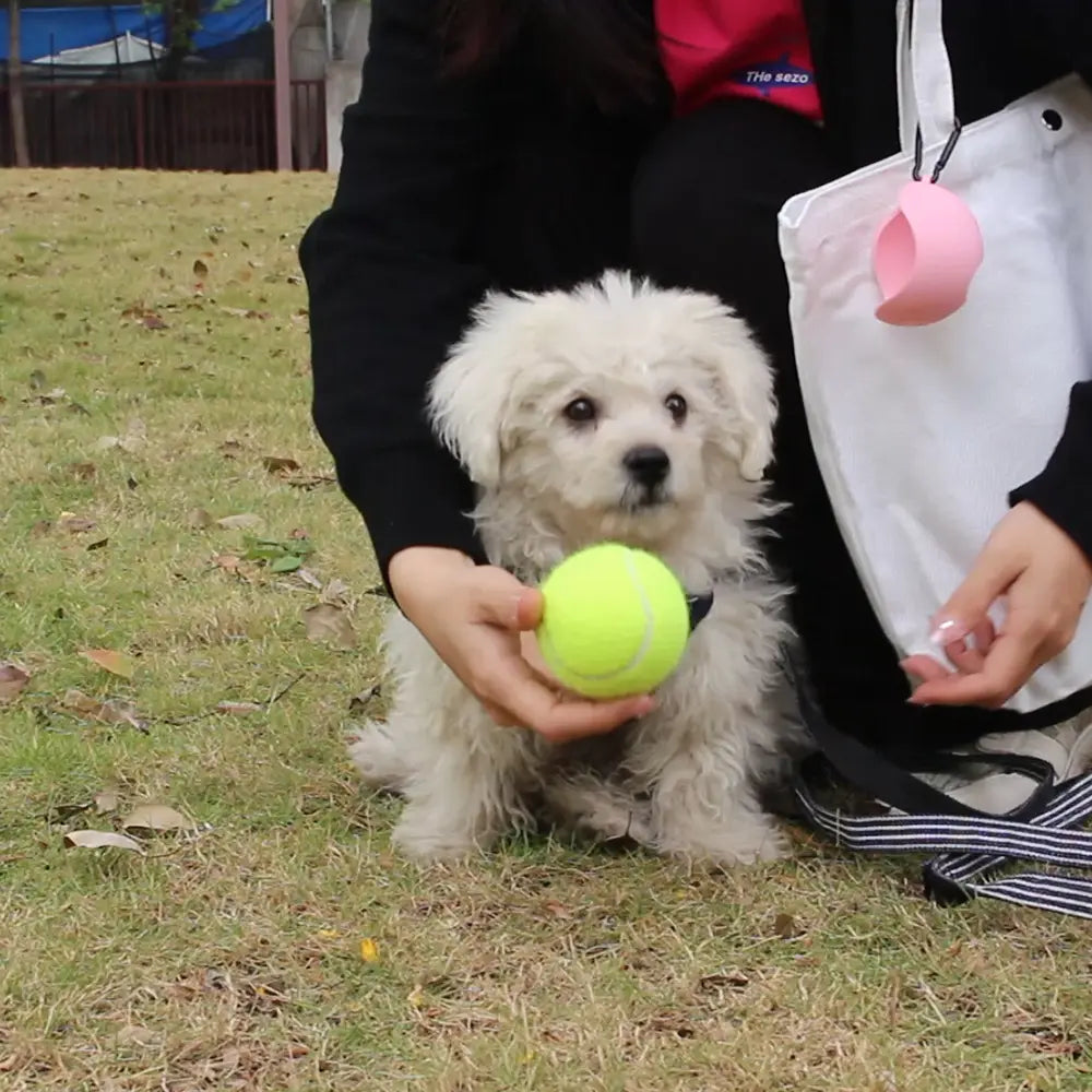 Portable Hands-free Dog Walking Tennis Ball Holder