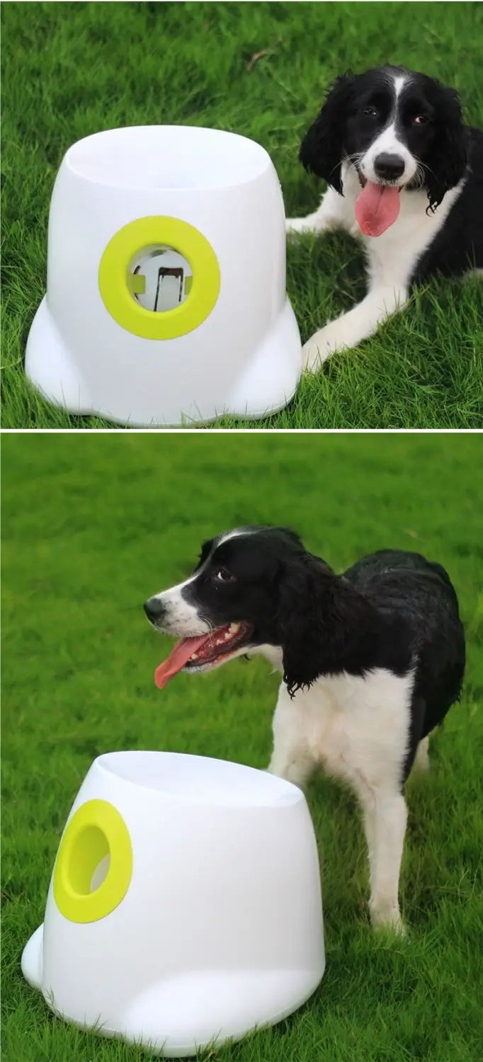 Dog Toy Tennis Ball Pet Ball-Throwing Automatic Launcher