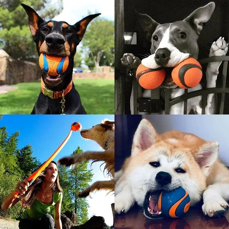 Orange and blue textured Fetch Ball dog toy