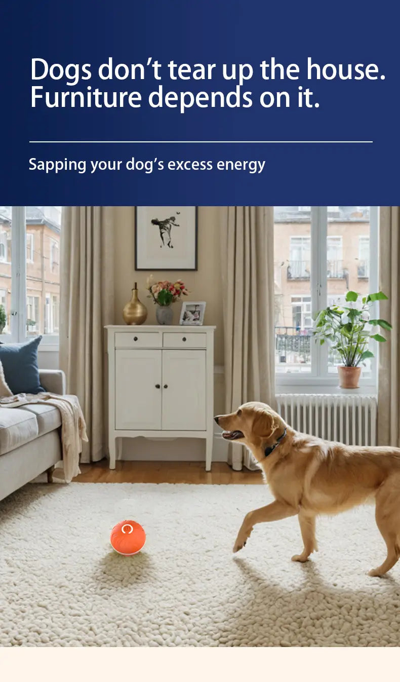 Intelligent Gravity Bouncing Dog Ball