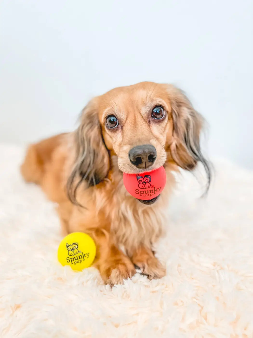 Spunky Pup dog ball: Fetch and Glow Ball: Medium