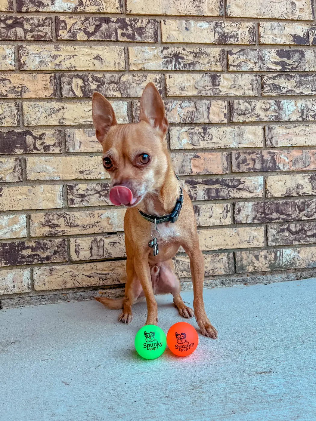 Spunky Pup dog ball: Fetch and Glow Ball: Medium