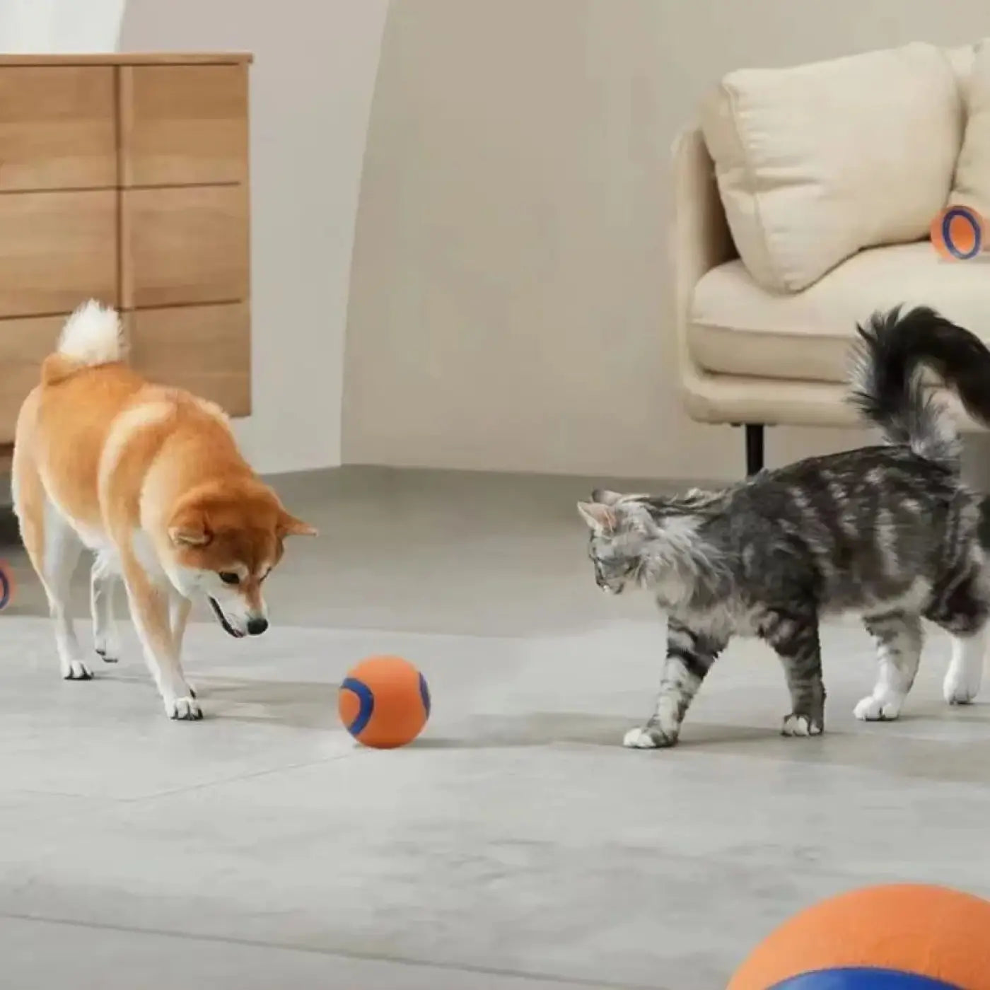 The Ball Depot dog ball: Fetch Ball