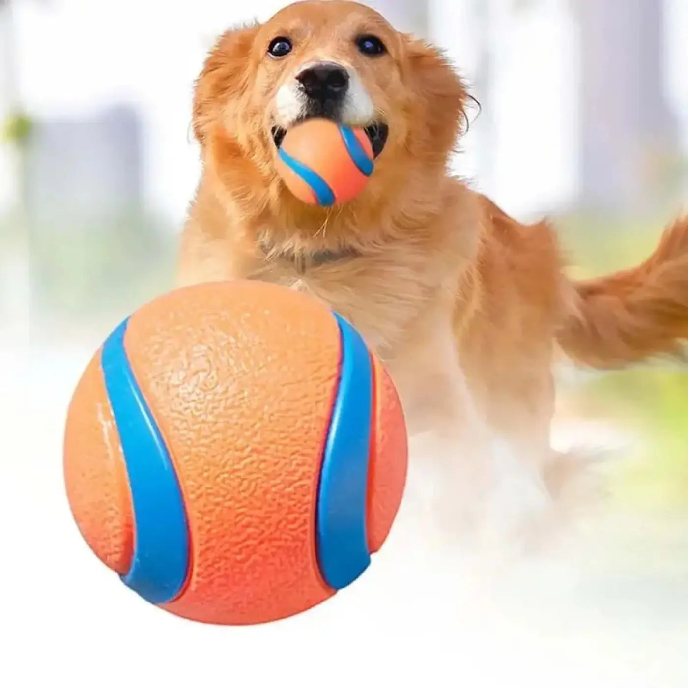 The Ball Depot dog ball: Fetch Ball