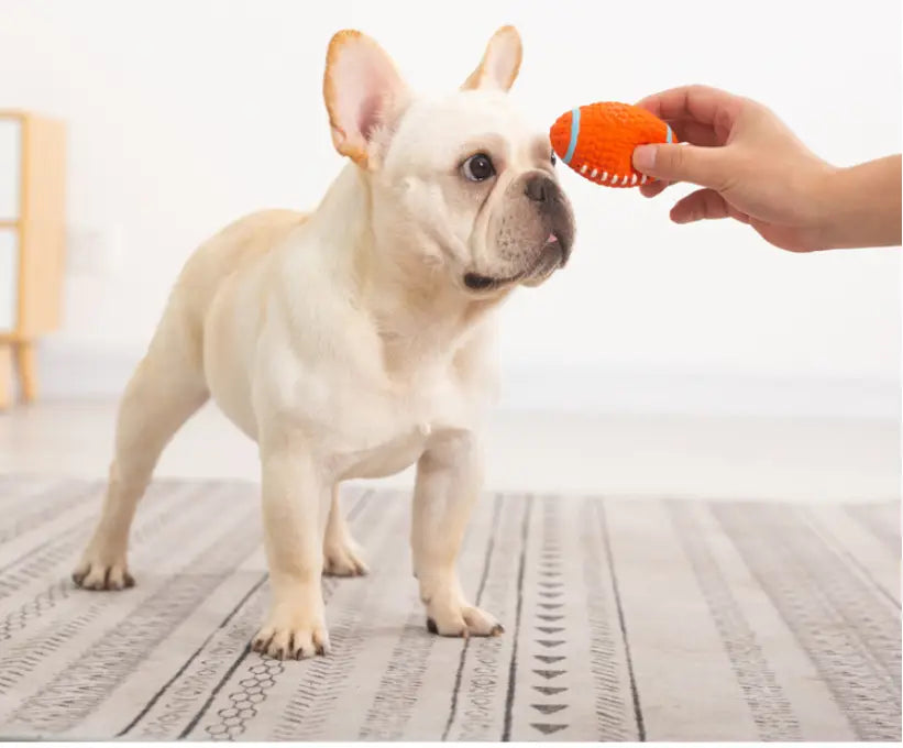Sports Dog Sounding Ball