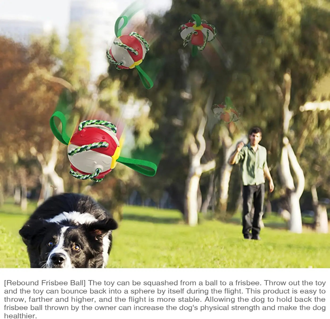 The Ball Depot dog ball: Flying Saucer Dog Ball