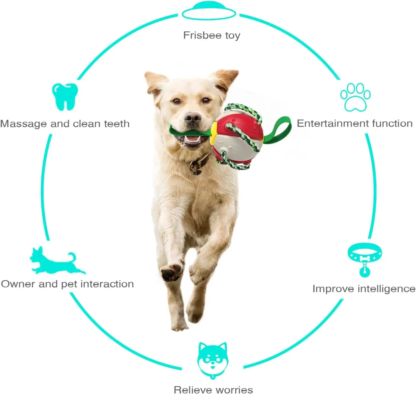 The Ball Depot dog ball: Flying Saucer Dog Ball