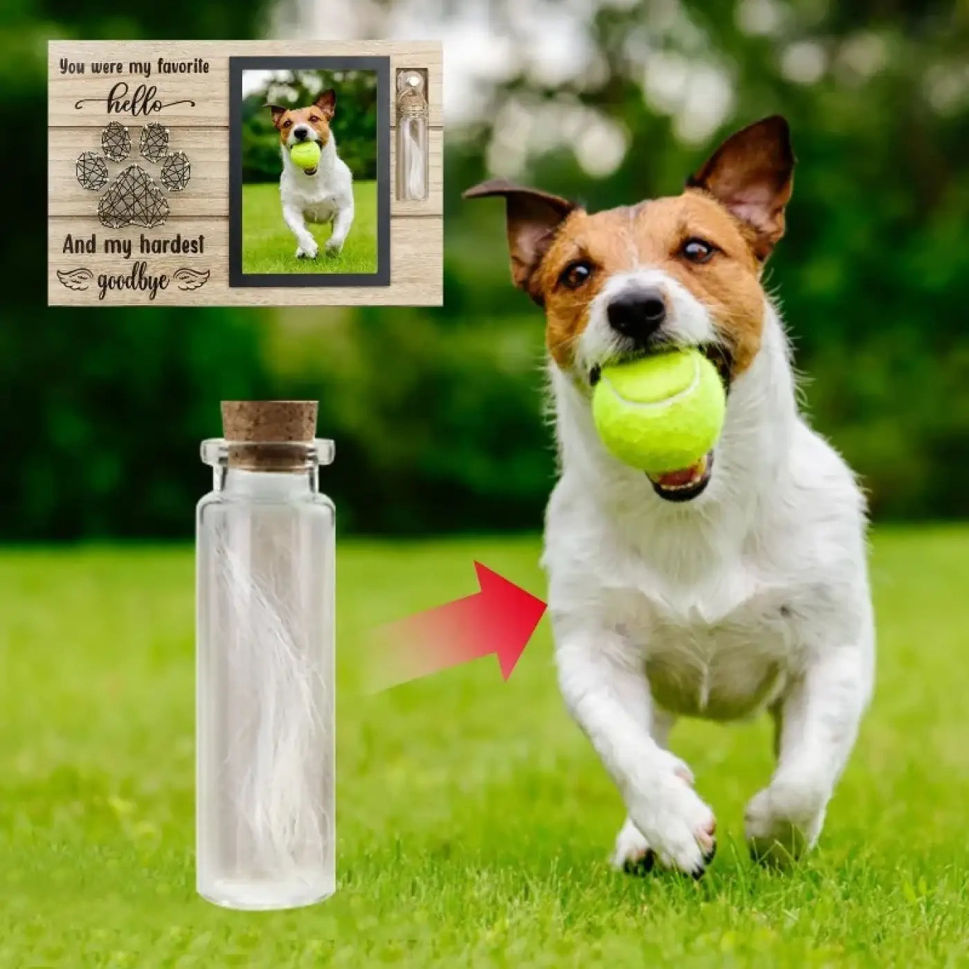 The Ball Depot dog ball: Glow-in -the-Dark Dog Toy Balls -3 Pcs