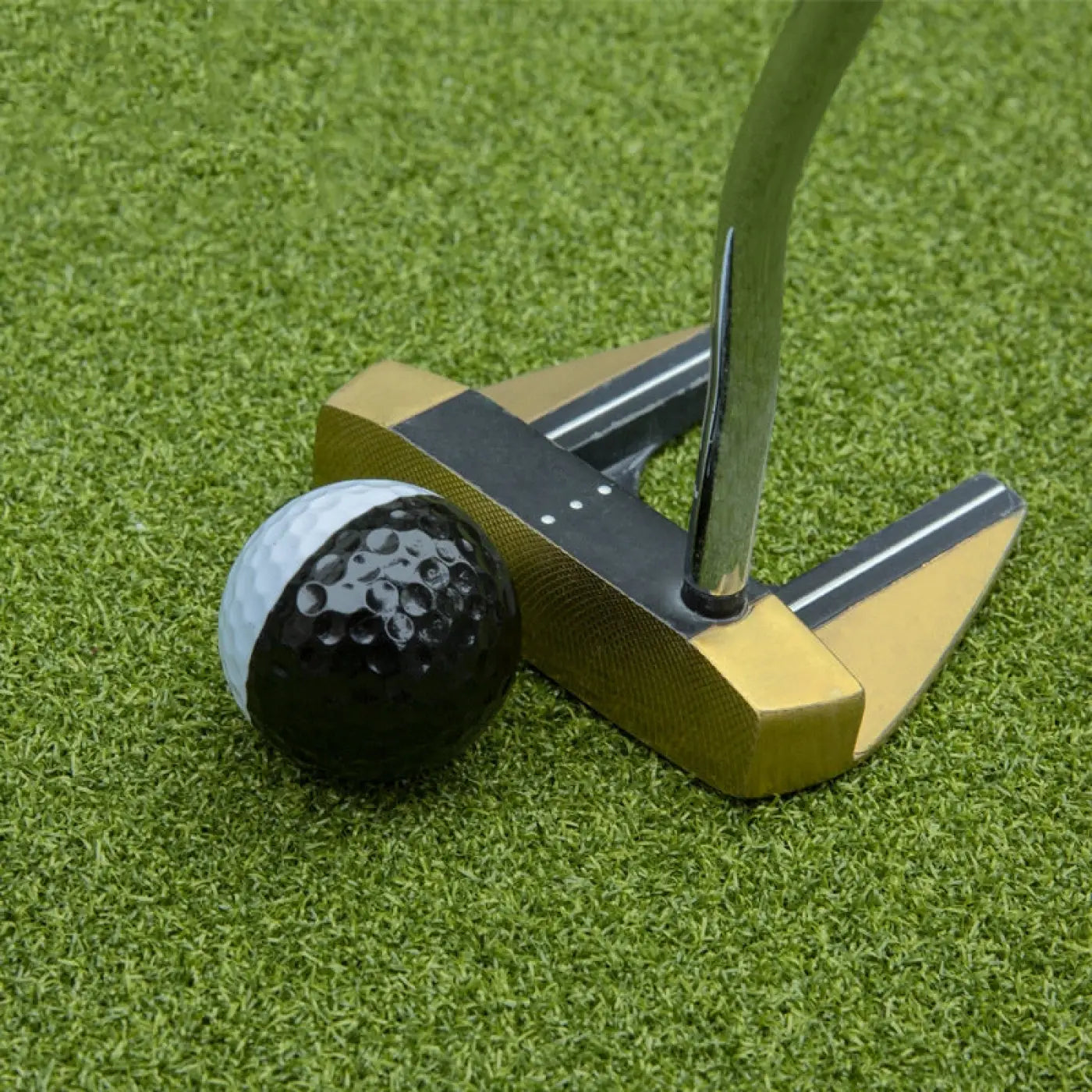 The Ball Depot golf ball: Golf Two-tone Two-layer Ball Putter Practicing Ball