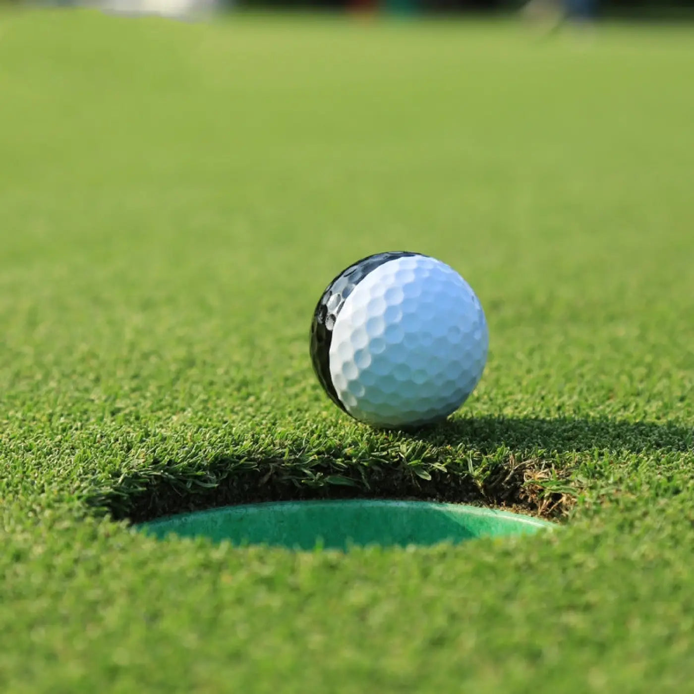 The Ball Depot golf ball: Golf Two-tone Two-layer Ball Putter Practicing Ball