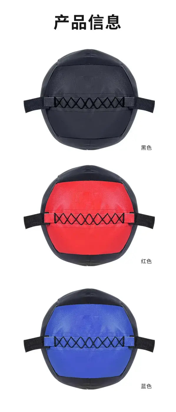 The Ball Depot medicine ball case: Gravity Training Medicine Ball Case