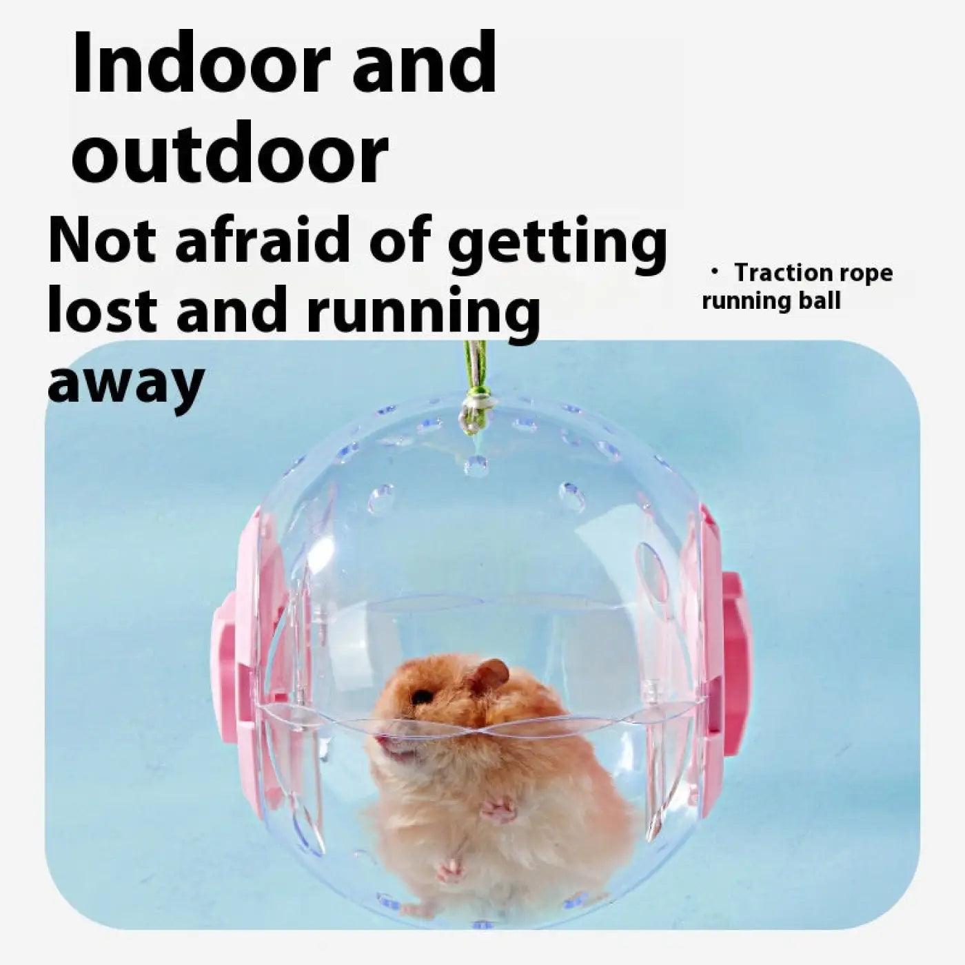 The Ball Depot small pet ball: Hamster Running Roller Sport Ball