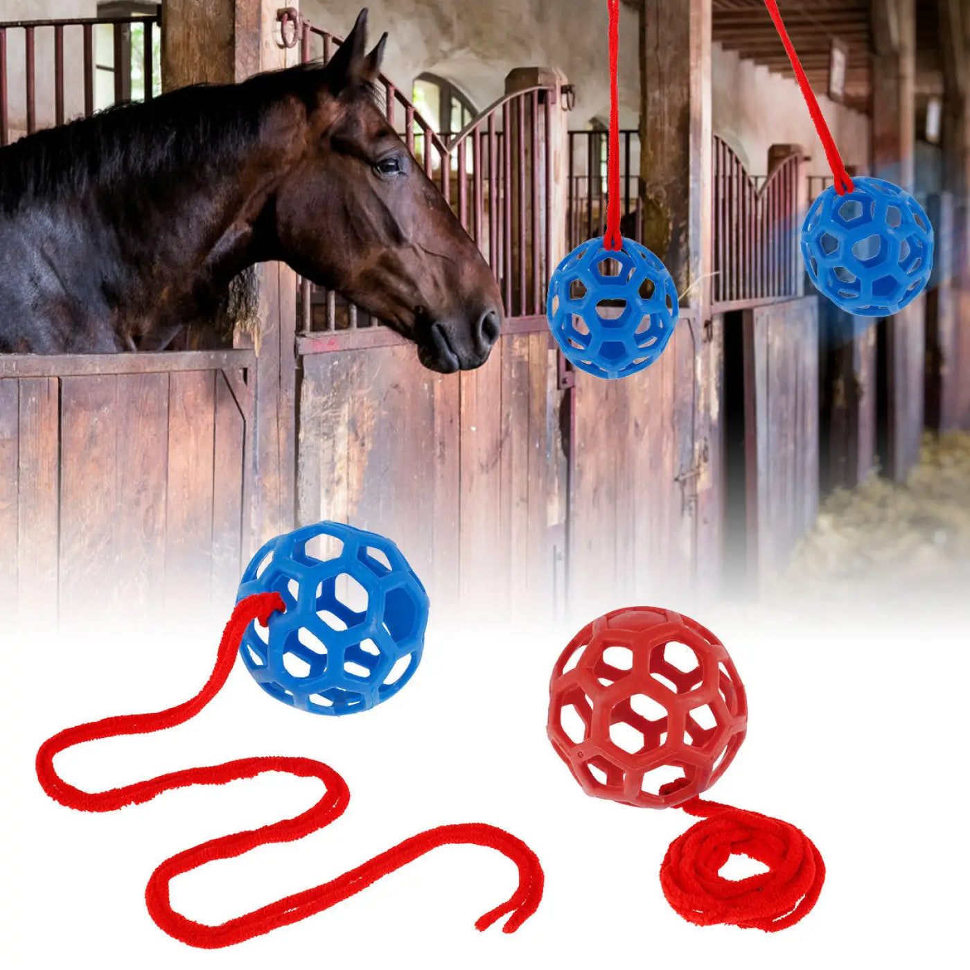 The Ball Depot small pet ball: Hanging Feeding Ball