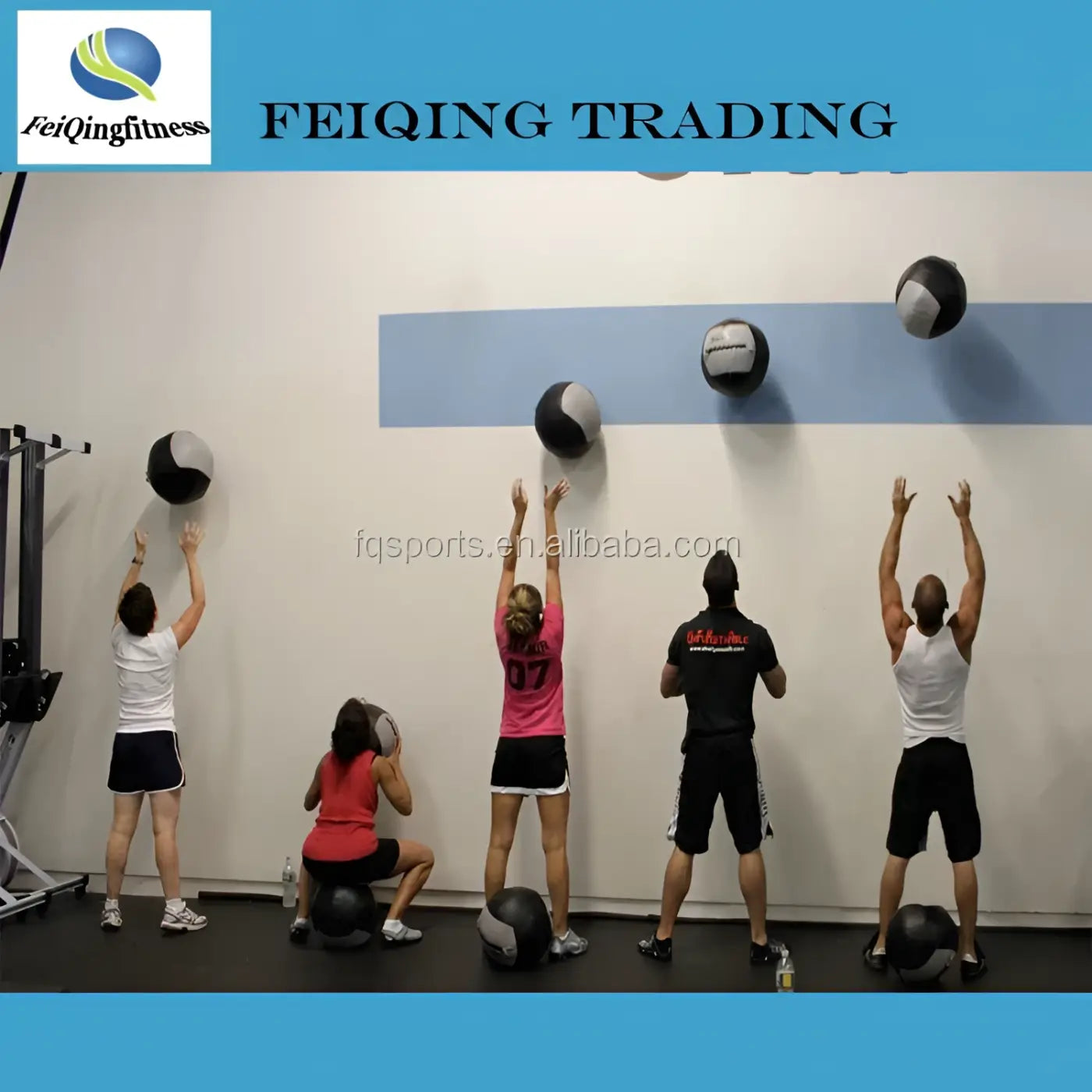 The Ball Depot : High Quality Gym Medicine Wall Ball
