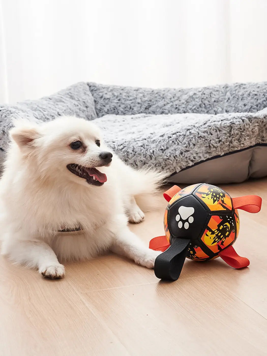 The Ball Depot dog balls: Holiday Soccer Dog Balls
