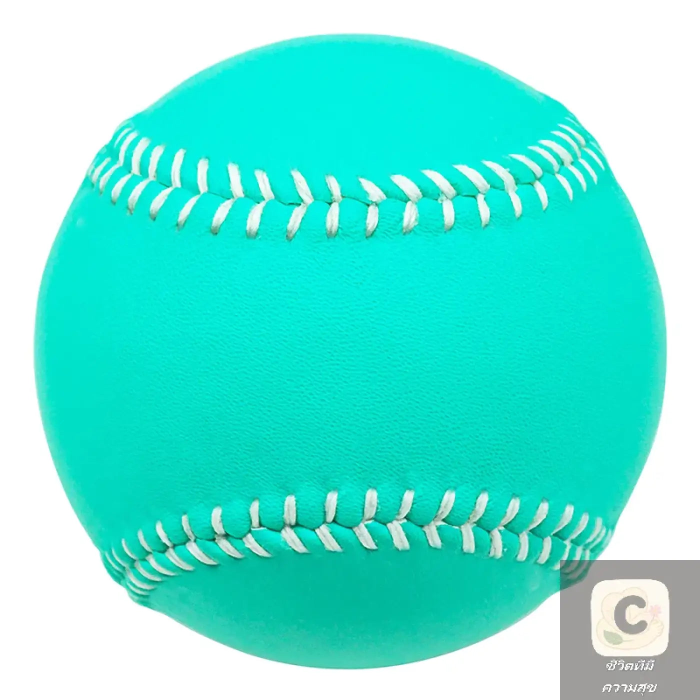 The Ball Depot baseball: HUA Adult Youth Baseball