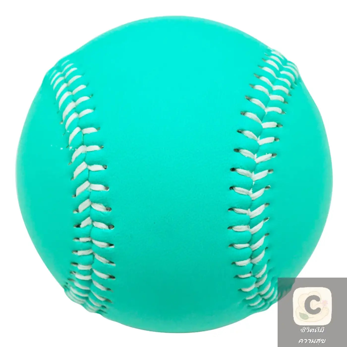 The Ball Depot baseball: HUA Adult Youth Baseball