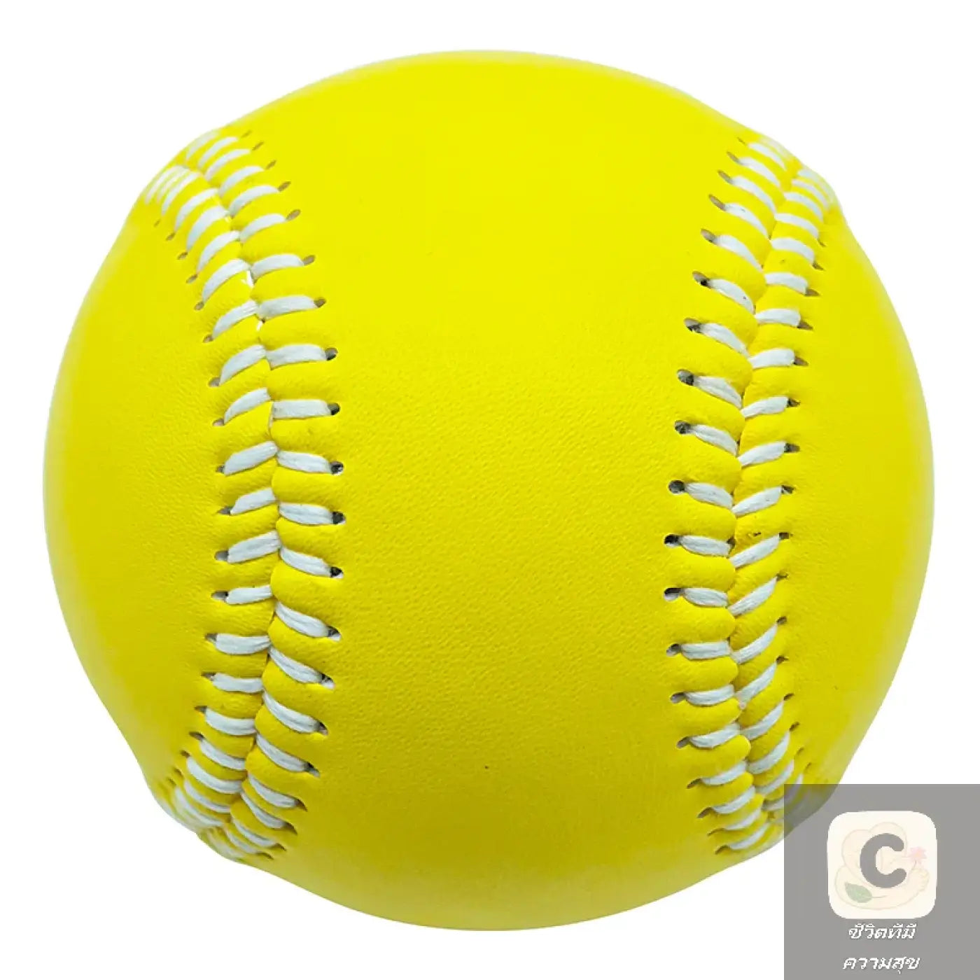 The Ball Depot baseball: HUA Adult Youth Baseball