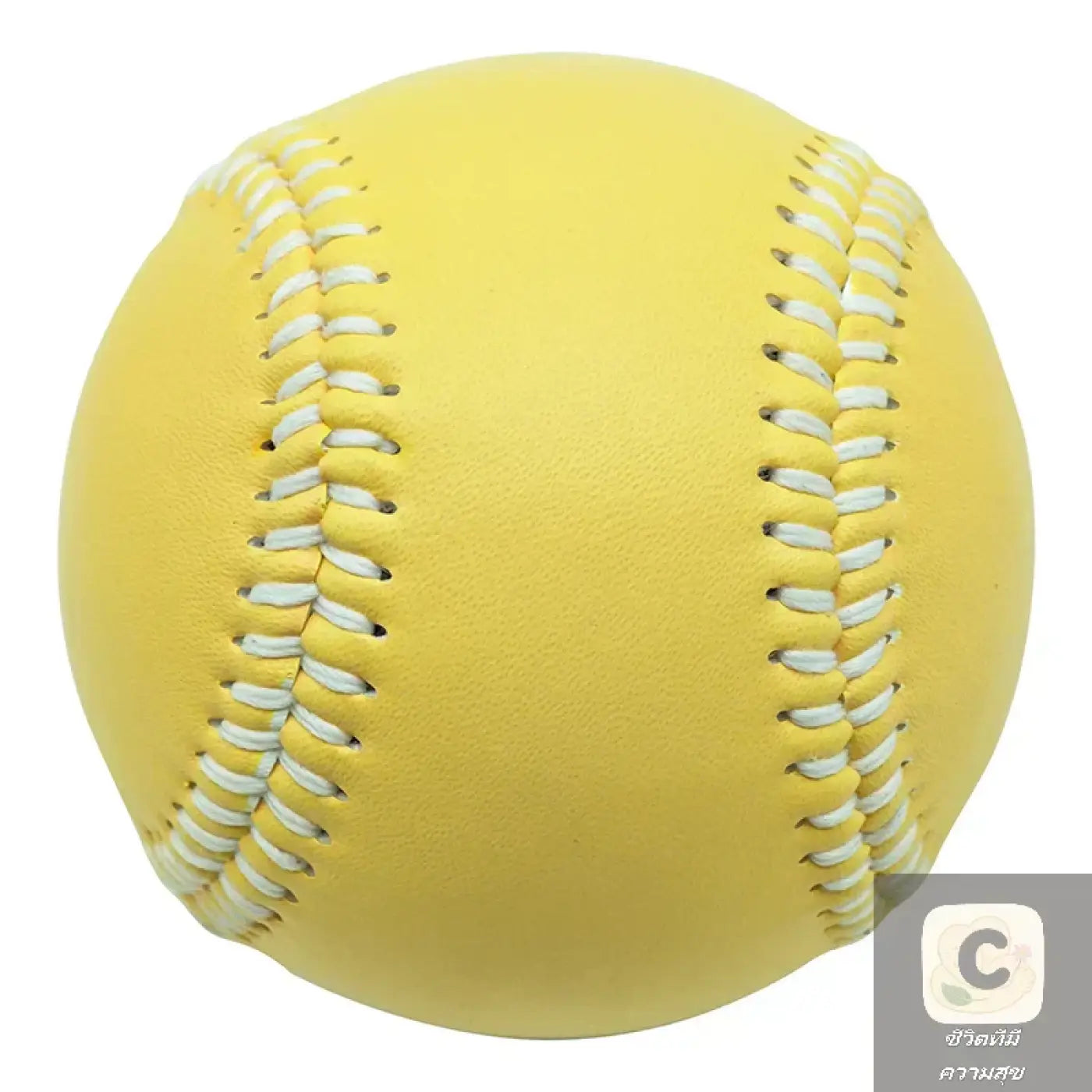 The Ball Depot baseball: HUA Adult Youth Baseball