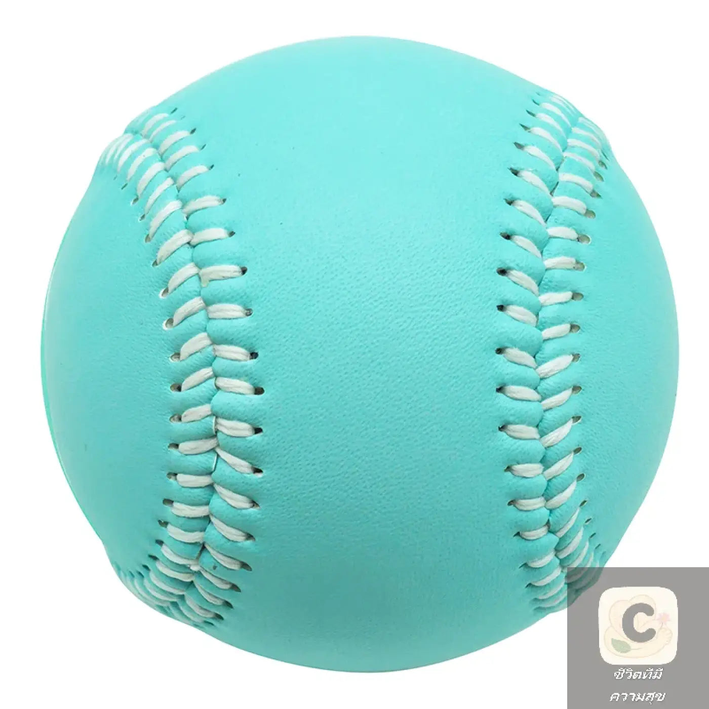 The Ball Depot baseball: HUA Adult Youth Baseball