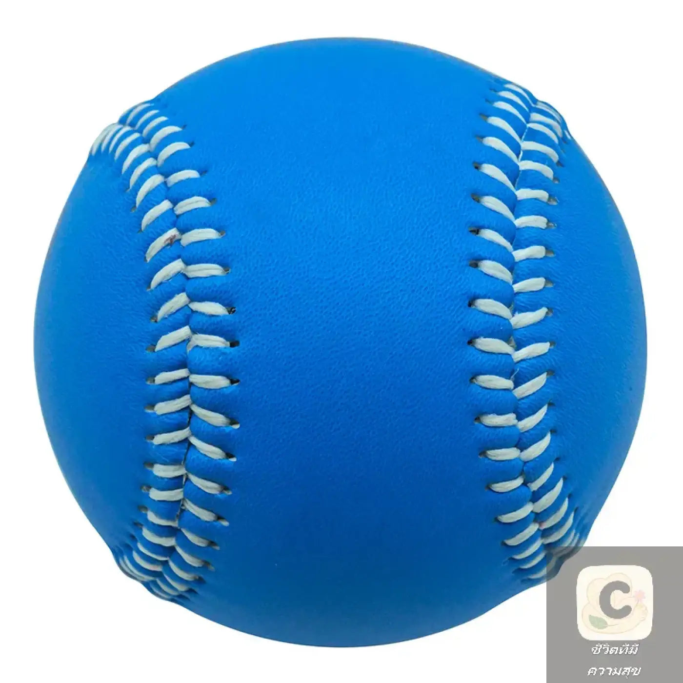 The Ball Depot baseball: HUA Adult Youth Baseball