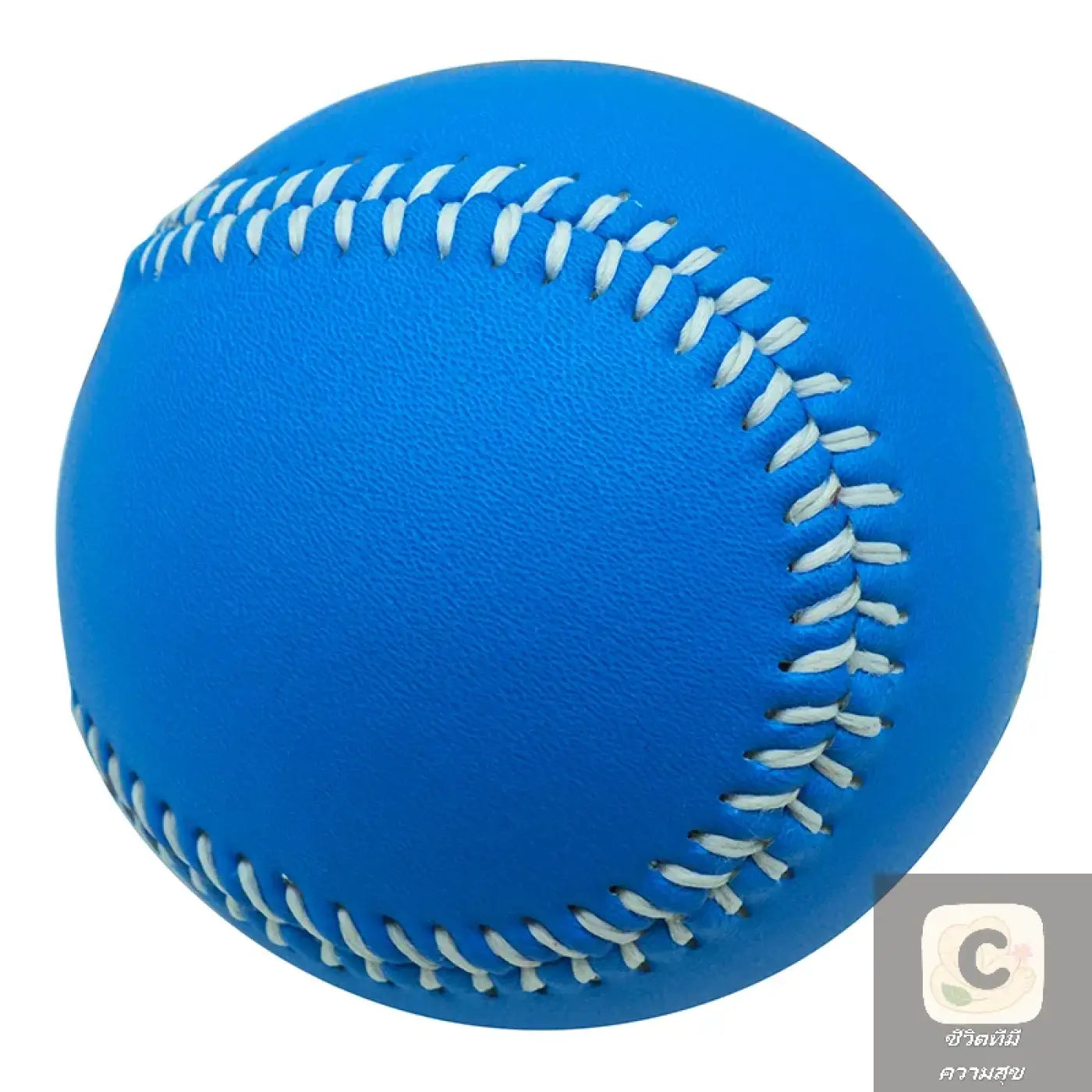 The Ball Depot baseball: HUA Adult Youth Baseball