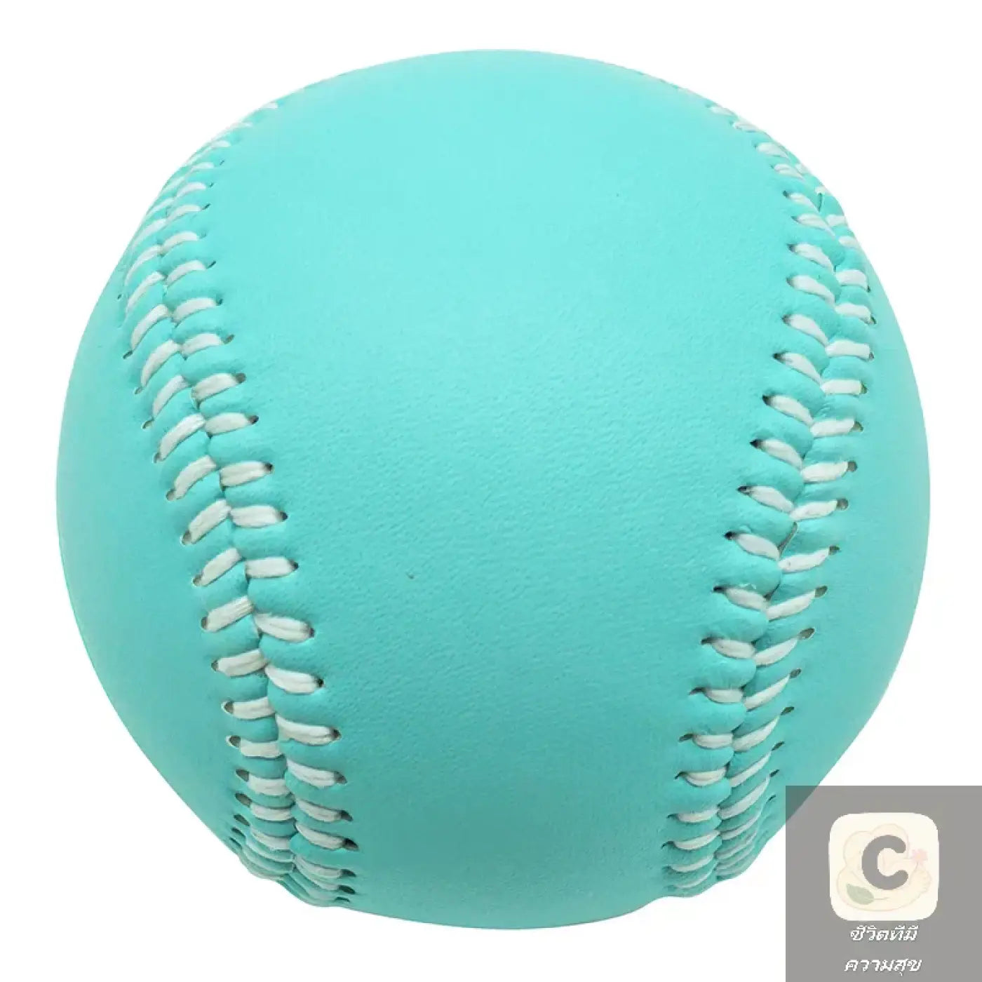 The Ball Depot baseball: HUA Adult Youth Baseball